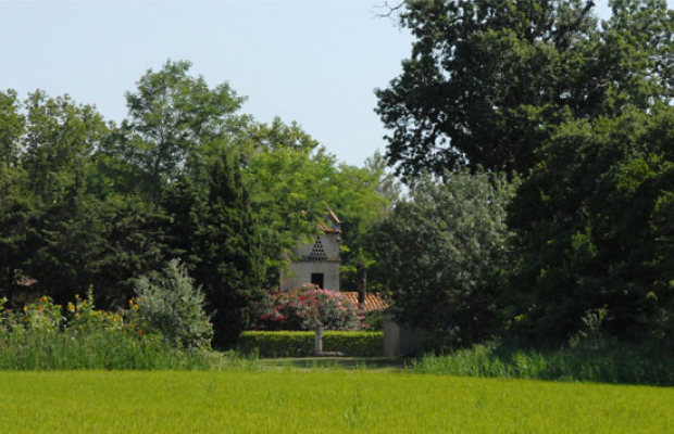 Mas Antonelle - camargue.fr