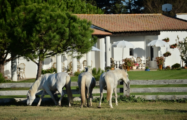 Hôtel Le Mas de la Grenouillère *** - camargue.fr