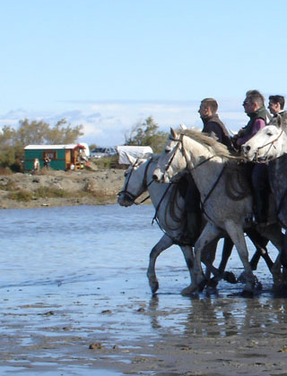 Mas de Layalle  - camargue.fr