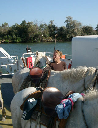 Mas de Layalle  - camargue.fr