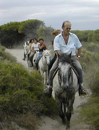 Mas de Layalle  - camargue.fr