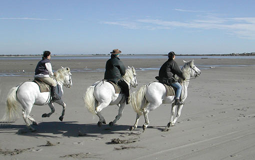 Mas de Layalle  - camargue.fr