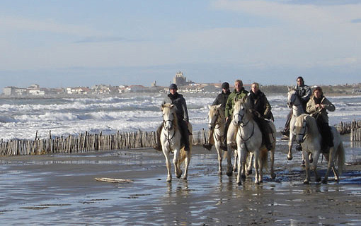 Mas de Layalle  - camargue.fr