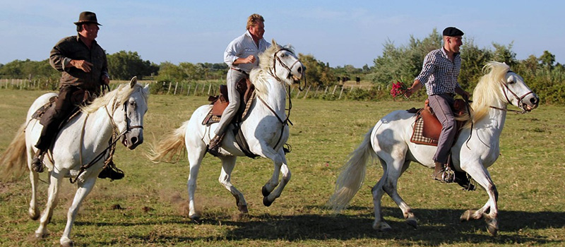 Mas de Layalle - camargue.fr