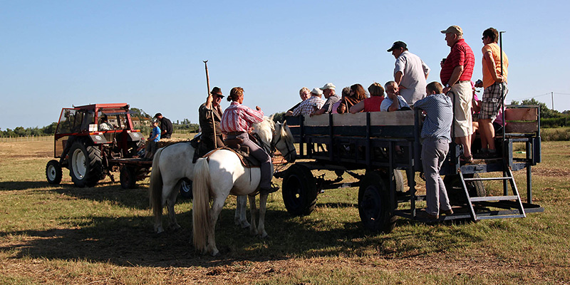 Mas de Layalle - camargue.fr