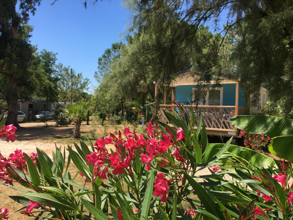 Camping Mas de Mourgues *** - camargue.fr