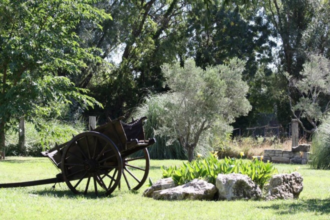 Mas des Jasses de la Ville - camargue.fr