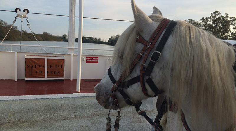 Mas Albert Espelly - camargue.fr