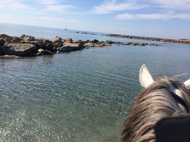 Mas Albert Espelly - camargue.fr