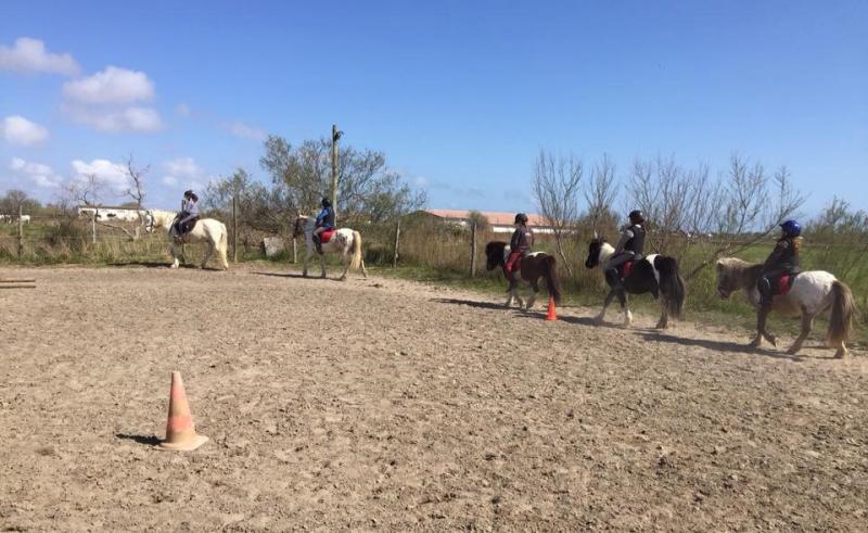 Mas Albert Espelly - camargue.fr