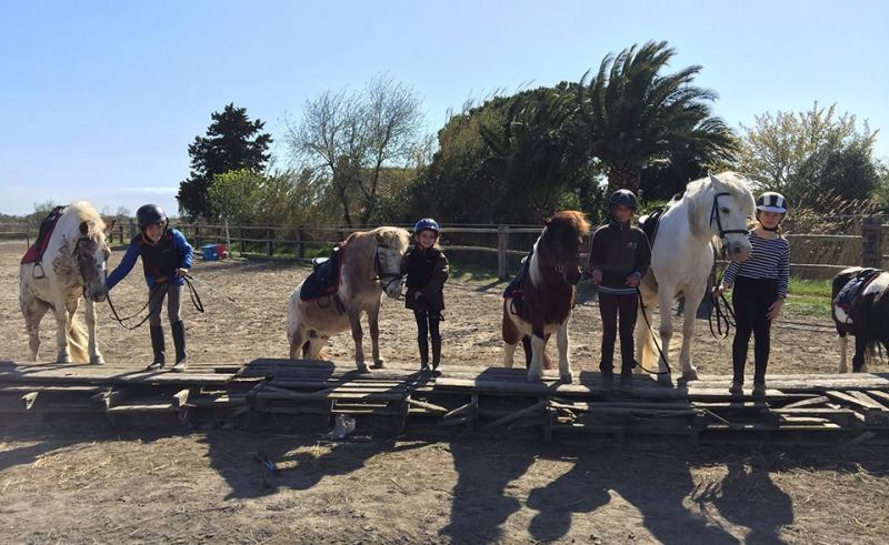 Mas Albert Espelly - camargue.fr