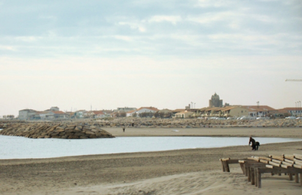 Provence Camargue Location - camargue.fr