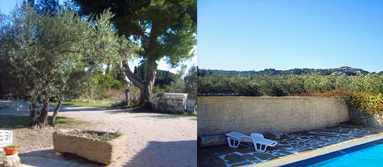 Mon Jardin Provençal