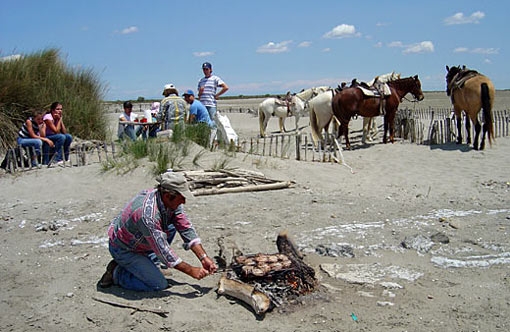 Le Palomino