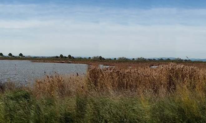 Résidence Le Catamaran - camargue.fr