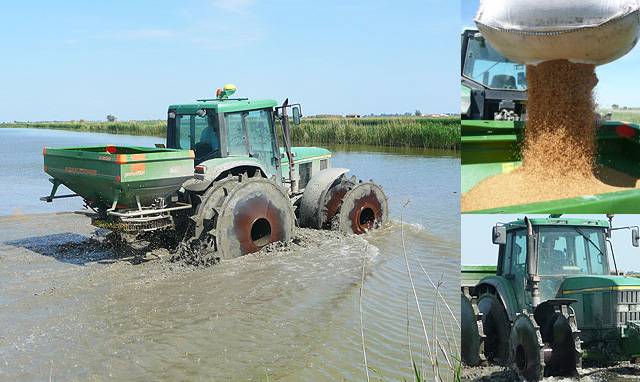 Riz de Canavere - camargue.fr