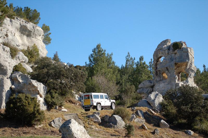 Camargue Alpilles Safaris - camargue.fr