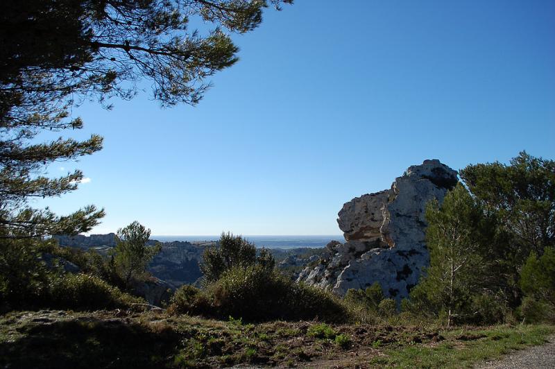 Camargue Alpilles Safaris - camargue.fr