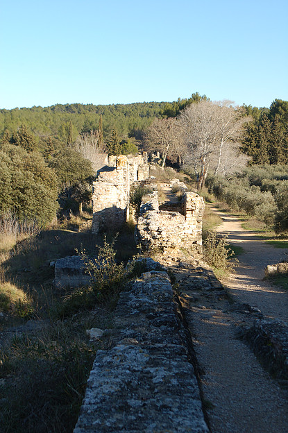 Camargue Alpilles Safaris - camargue.fr