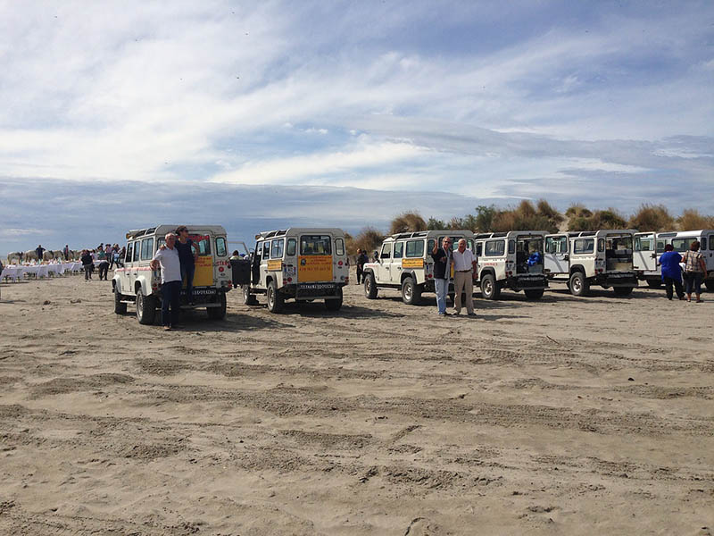 Camargue Alpilles Safaris - camargue.fr