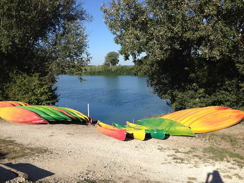 Camargue Alpilles Safaris - camargue.fr