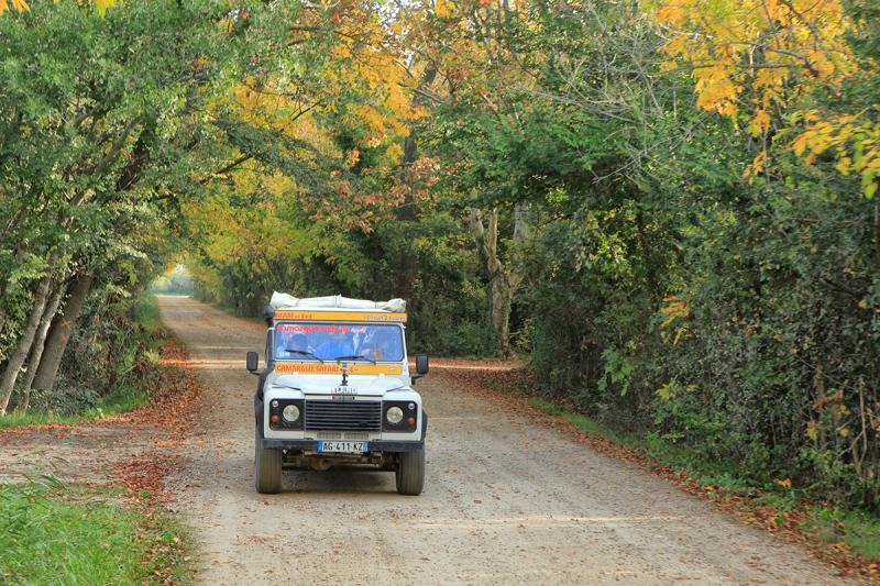 Camargue Alpilles Safaris - camargue.fr