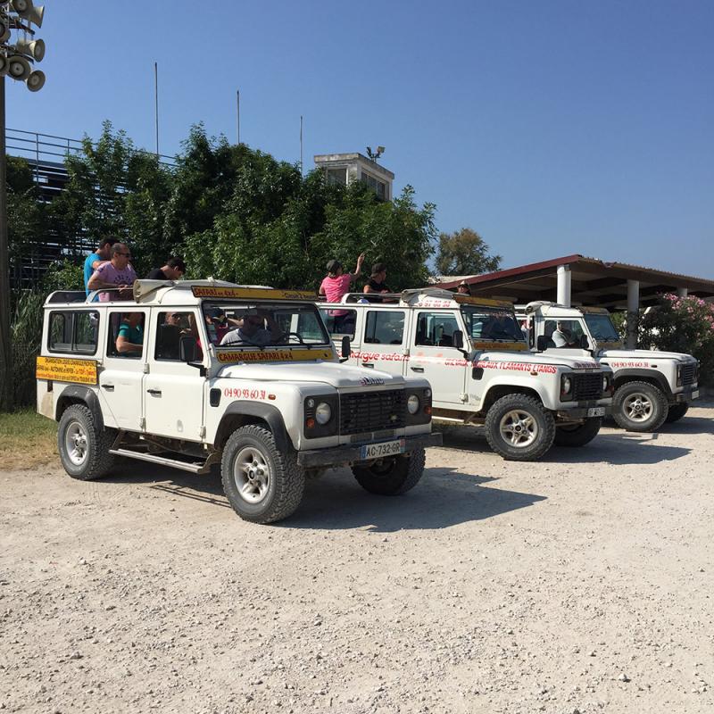 Camargue Alpilles Safaris - camargue.fr