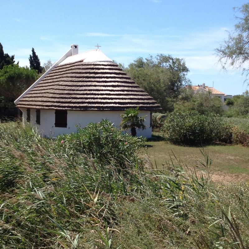 Camargue Alpilles Safaris - camargue.fr