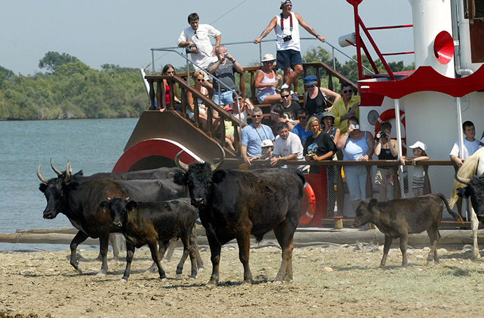 TIKI III - camargue.fr