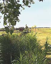 Les Petites Villas Camarguaise